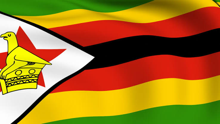 Understanding the Human Rights Crisis in Zimbabwe